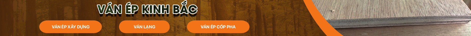 CÁC LOẠI VÁN ÉP KHÁC